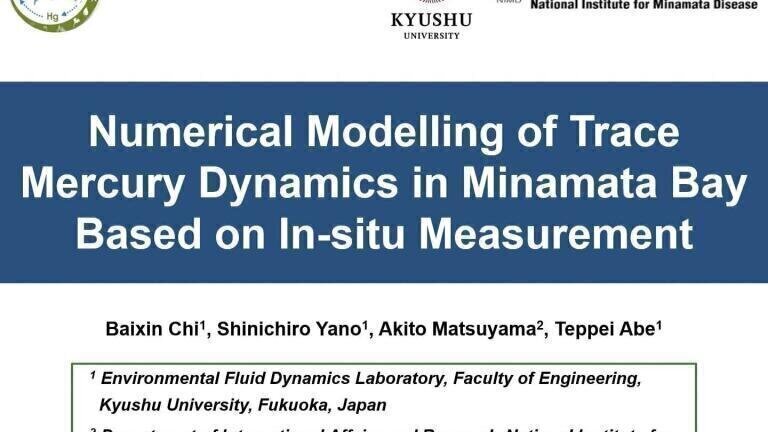 Numerical Modelling of Trace Mercury Dynamics in Minamata Bay Based on In-situ Measurement